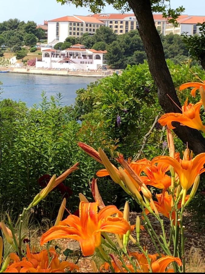 Goga Apartments Pula Dış mekan fotoğraf