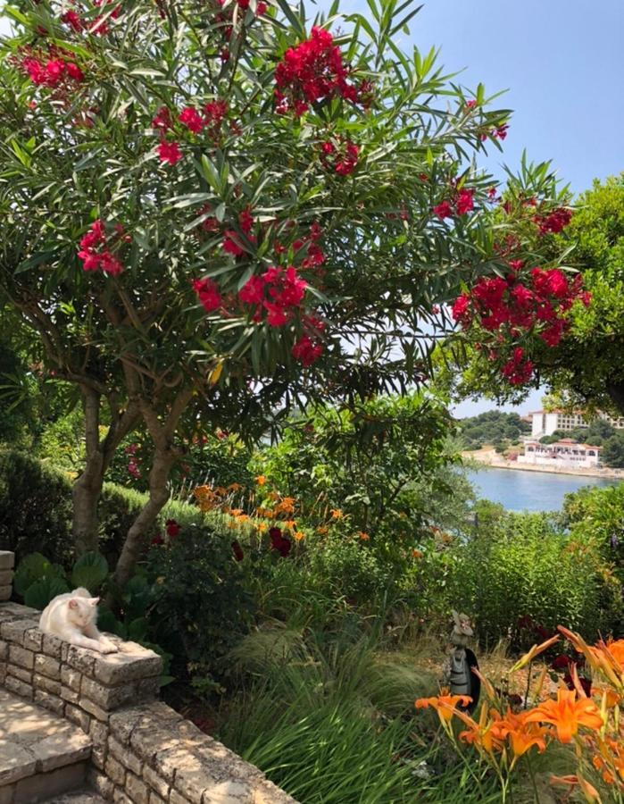 Goga Apartments Pula Dış mekan fotoğraf