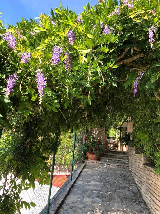 Goga Apartments Pula Dış mekan fotoğraf