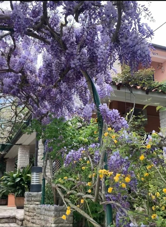 Goga Apartments Pula Dış mekan fotoğraf